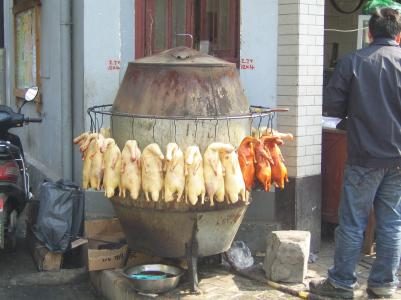 Huehner an der Stange Huehner an der Stange